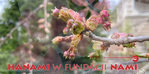 Hanami w Fundacji Nami 2026