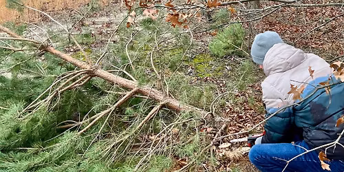 Cut Your Own Tree Event