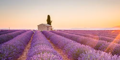 French Conversation Group