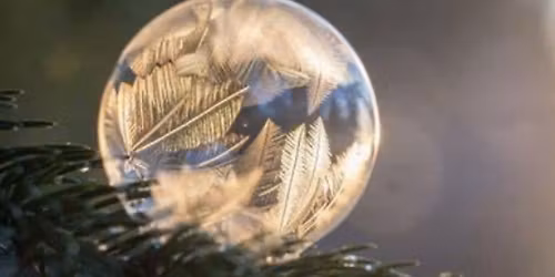 Winter Solstice Yule Ritual (in person!)