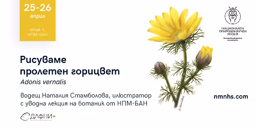 \u0420\u0438\u0441\u0443\u0432\u0430\u043c\u0435 \u043f\u0440\u043e\u043b\u0435\u0442\u0435\u043d \u0433\u043e\u0440\u0438\u0446\u0432\u0435\u0442 (Adonis vernalis) \u0432 \u0431\u043e\u0442\u0430\u043d\u0438\u0447\u0435\u0441\u043a\u0438 \u0441\u0442\u0438\u043b | \u0440\u0430\u0431\u043e\u0442\u0438\u043b\u043d\u0438\u0446\u0430 \u0437\u0430 \u043d\u0430\u0443\u0447\u043d\u0430 \u0438\u043b\u044e\u0441\u0442\u0440\u0430\u0446\u0438\u044f