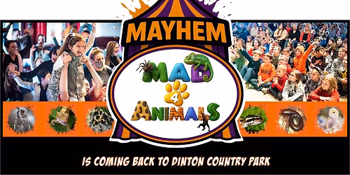 Mayhem of Mad4Animals Dinton Country Park 