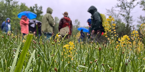 48th Annual Elsie Quarterman Cedar Glade Wildflower Festival 