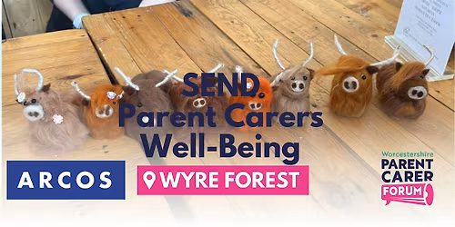 SEND Parent Carer Well-Being Malvern - Needle-felt a Highland Cow