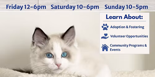 Twin Cities Home Expo