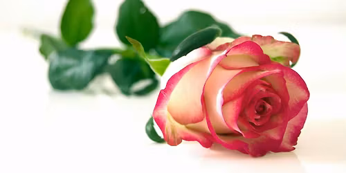 1 on 1 Relationship Consultation