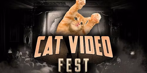 CatVideoFest 2025