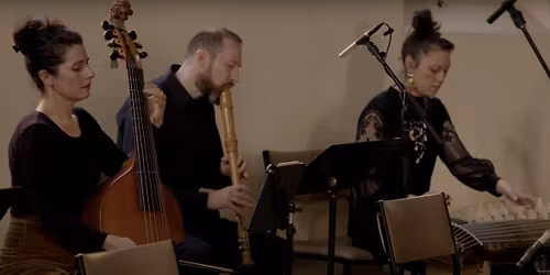 Nipaluna\/Hobart Summer Lunchbox Concerts #4: Patterns of Plants