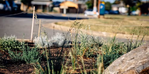 Planting Day - Stage 2