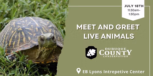 Meet & Green Live Animals