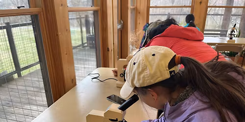 Jr. Naturalist: Microscope Lab