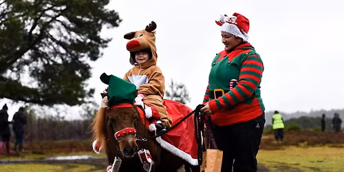 NFPEC & FE Christmas Show \ud83c\udf84\ud83c\udf85\ud83c\udffb