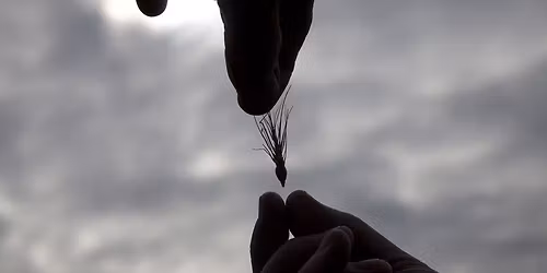 Histoires de bl\u00e9s et d\u2019Occident\u2026 Causerie gourmande par Didier Demorcy