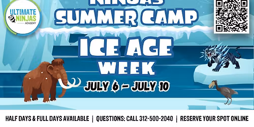 Summer Camp at Ultimate Ninjas Academy: Ice Age Week! Ages 4\u20139