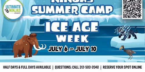 Summer Camp at Ultimate Ninjas Academy: Ice Age Week! Ages 4\u20139