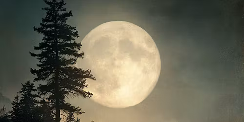 Worm Moon Full Moon Ritual