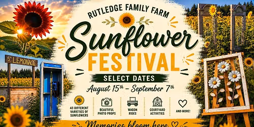 Sunflower Festival at Rutledge Family Farm