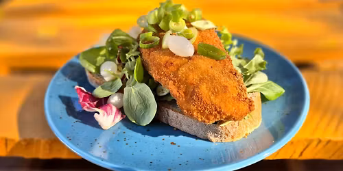 \u0158\u00edzkobran\u00ed