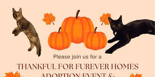 Thankful for Forever Homes Adoption Event and Thanksgiving Bake Sale