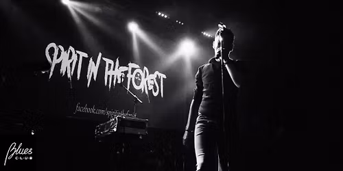 SPIRIT IN THE FOREST W BLUES CLUB GDYNIA 29-11-2025