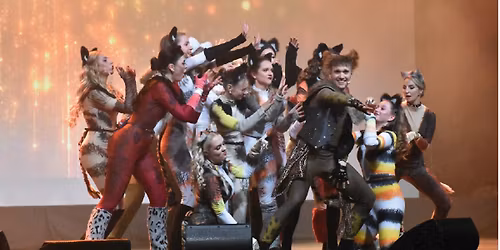 CLASSIC MUSICALS GALA najwi\u0119ksze musicale\/ jeden spektakl\/ GOK Stawiguda\/ 26.04.2026 g. 17.00 