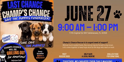Last Chance for Champ's Chance