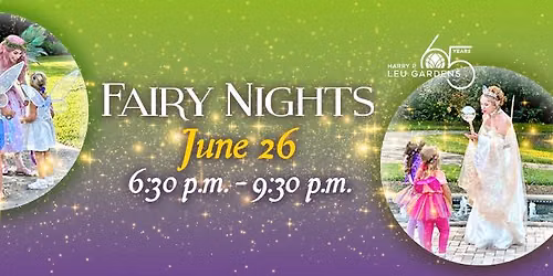 Fairy Night