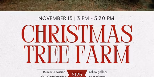 Christmas Tree Farm Mini Sessions