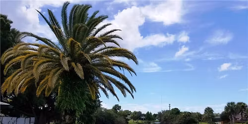 Prospective Board Member Workshop