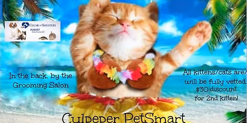 Forgotten Felines of Culpeper Luau Meow Adoption Event