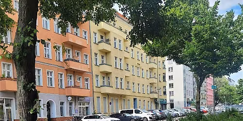 Ein Spaziergang zu den Baumscheiben