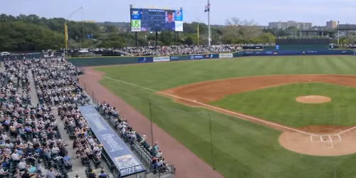 Charleston Riverdogs at Columbia Fireflies at Segra Park