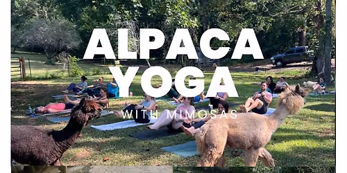 Alpaca Yoga & Mimosas with Audrey 6\/6\/26
