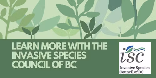 Invasive Plants