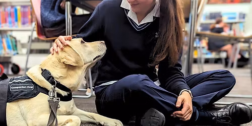 HSC Library Lock-In with Ollie at Wollongong and Warrawong Library