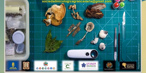 XXXII JORNADAS MICOLOGICAS DE GRAN CANARIA