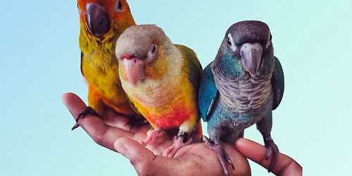 Animal Cafe: Up Close & Wild for Teens (Session #1)