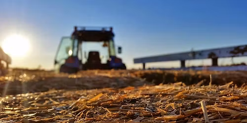 Papa's Pumpkin Smash & Easy Sunday!