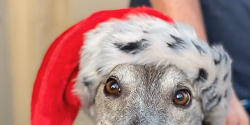 Hollywood Feed Birmingham Meet & Greet