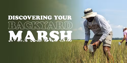 Discovering Your Backyard Marsh