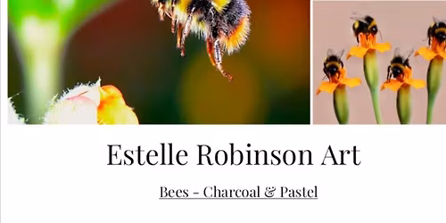 Bees in Charcoal & Pastel with Estelle Robinson