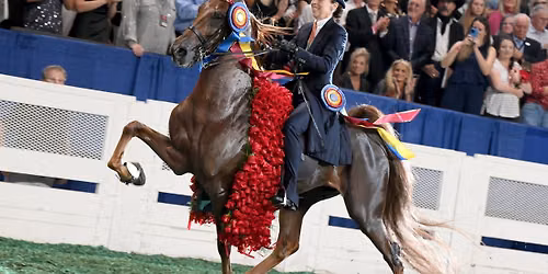 World's Championship Horse Show