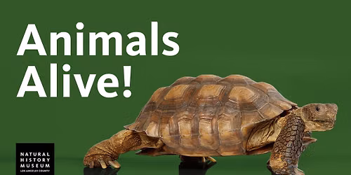 Animals Alive! at the Natural History Museum of L.A. County