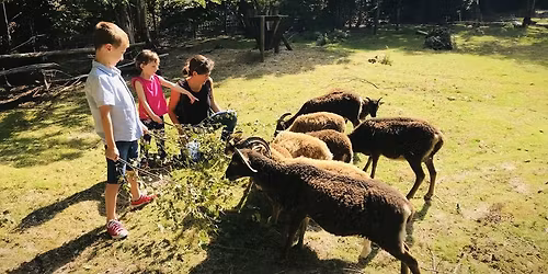 Family Keeper Tour - A WILD adventure for the whole family! \ud83e\udd7e\ud83c\udf32\ud83e\udef6