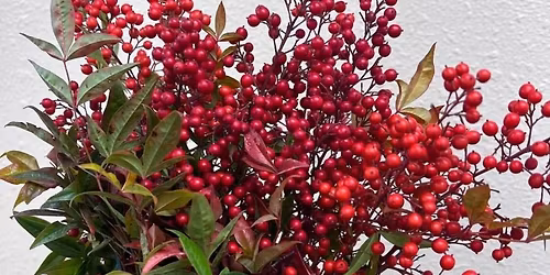 \u2744\ufe0f Winter Floral Arrangements with Hand Tied \ud83d\udc90