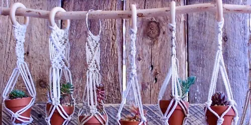 Master Class - Macrame & Succulents with Mainely Succulents