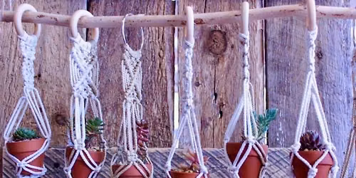 Master Class - Macrame & Succulents with Mainely Succulents