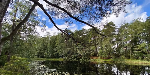 L\u00e4hiluontoilta: uusi kaupunkistrategia ja It\u00e4-Helsingin luonto