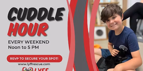 Cat & Kitten Cuddle Hours