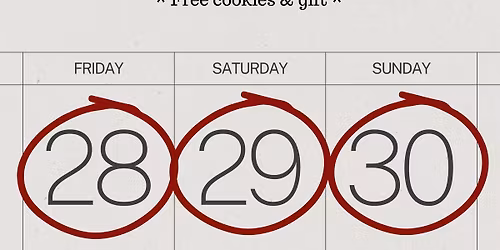 Christmas minis 2025 \ud83d\udcf8\ud83c\udf84